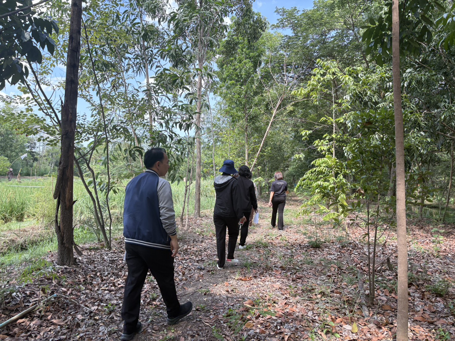 title - ส.ป.ก.นครปฐม ลงพื้นที่ตรวจเยี่ยมแปลงและเข้าพื้นที่แปลงสาธิตในพื้นที่เขตปฏิรูปที่ดิน